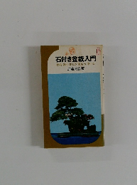 石付き盆栽入門　