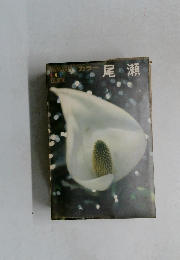 尾瀬
