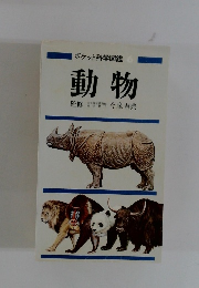 動物
