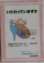いたわっていますか