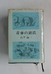 青春の蹉跌