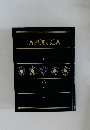 JAPONICA6