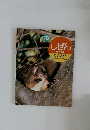 しぜん　10　むささび