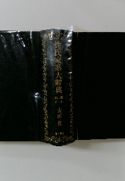 姓氏家系大辭典2
