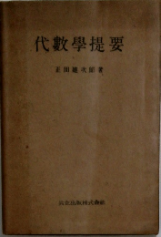 代數學提要