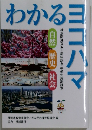 わかるヨコハマ
