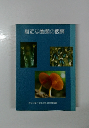 身近な菌類の観察
