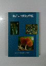 身近な菌類の観察