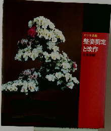 サツキ盆栽整姿剪定と改作