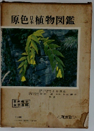 原色日本植物図鑑　草本編3