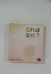 これはなに?