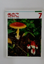 きのこ　7月号