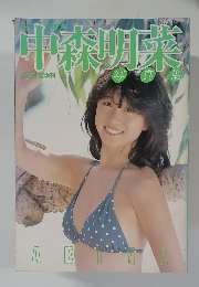 中森明菜　写真集