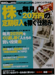 株で毎月20万円の定期収入を稼ぐ仕組み 2013 