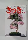 さつき研究　1992年7月号　No.268