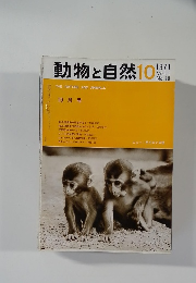 動物と自然　1971年10月号　Vol.1  No.10