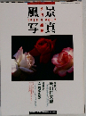 風景写真 1989年8月 VOL.2