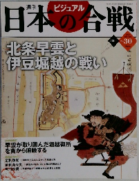ビジュアル日本の合戦　No.30
