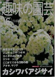 趣味の園芸　2001年6月号