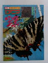 太陽　1976年春号