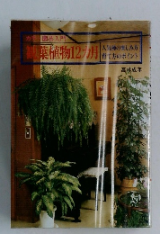 観葉植物 12カ月