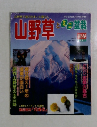 山野草とミニ盆栽　2001年1月号　Vol.23