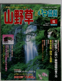 山野草とミニ盆栽　２００１　夏　Vol.27