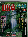 山野草とミニ盆栽　２００１　夏　Vol.27