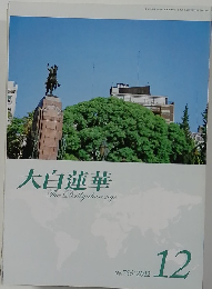 大白蓮華　１２