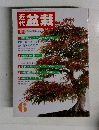 福盆栽