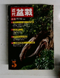 月刊　近代盆栽　1987年5月号