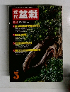 月刊　近代盆栽　1987年5月号