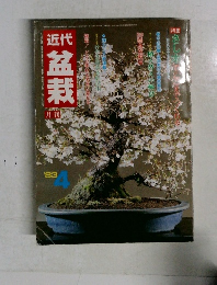 近代　盆栽　1983年4月号
