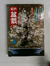 近代　盆栽　1983年4月号