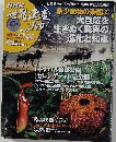 NHK 世界遺産100 no. 37
