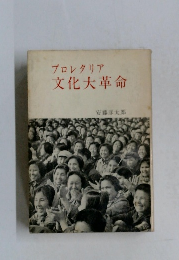 プロレタリア文化大革命