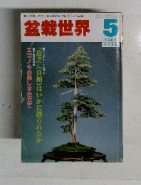 盆栽世界　１９８１年５月号　No.133