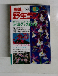 自然と野生ラン　2001年10月号　