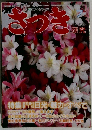 さつき　7