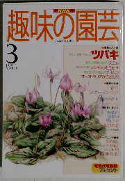 趣味の園芸　１９９７年３月号　