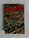 趣味の山野草　1987年2月号　No.79
