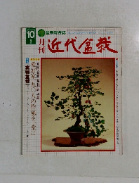 近代盆栽　10