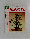 近代盆栽　10