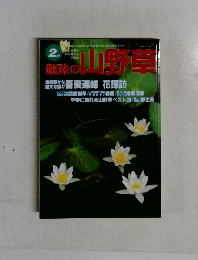 趣味のの山野草　2月号