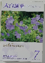 大白蓮華　2014年7月号