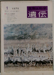 遺伝　１９７５年１月号　