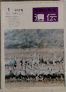 遺伝　１９７５年１月号　