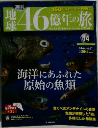 地球46億年の旅 14