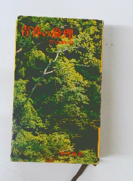 青春の倫理