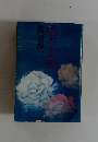 夜の出帆